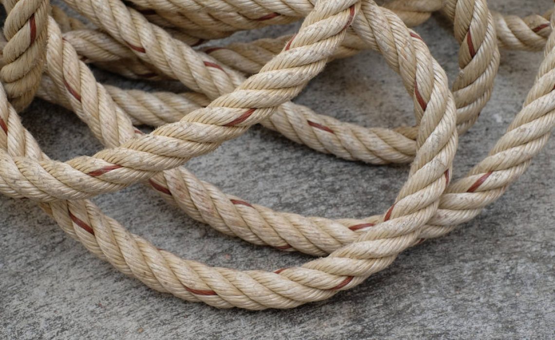 shutterstock_1038003445(FILEminimizer)