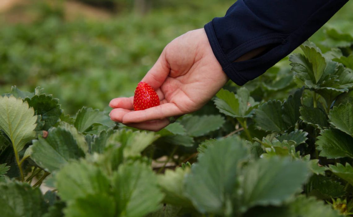 shutterstock_1198328425(FILEminimizer)