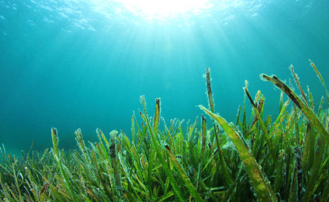 shutterstock_142303630(FILEminimizer)